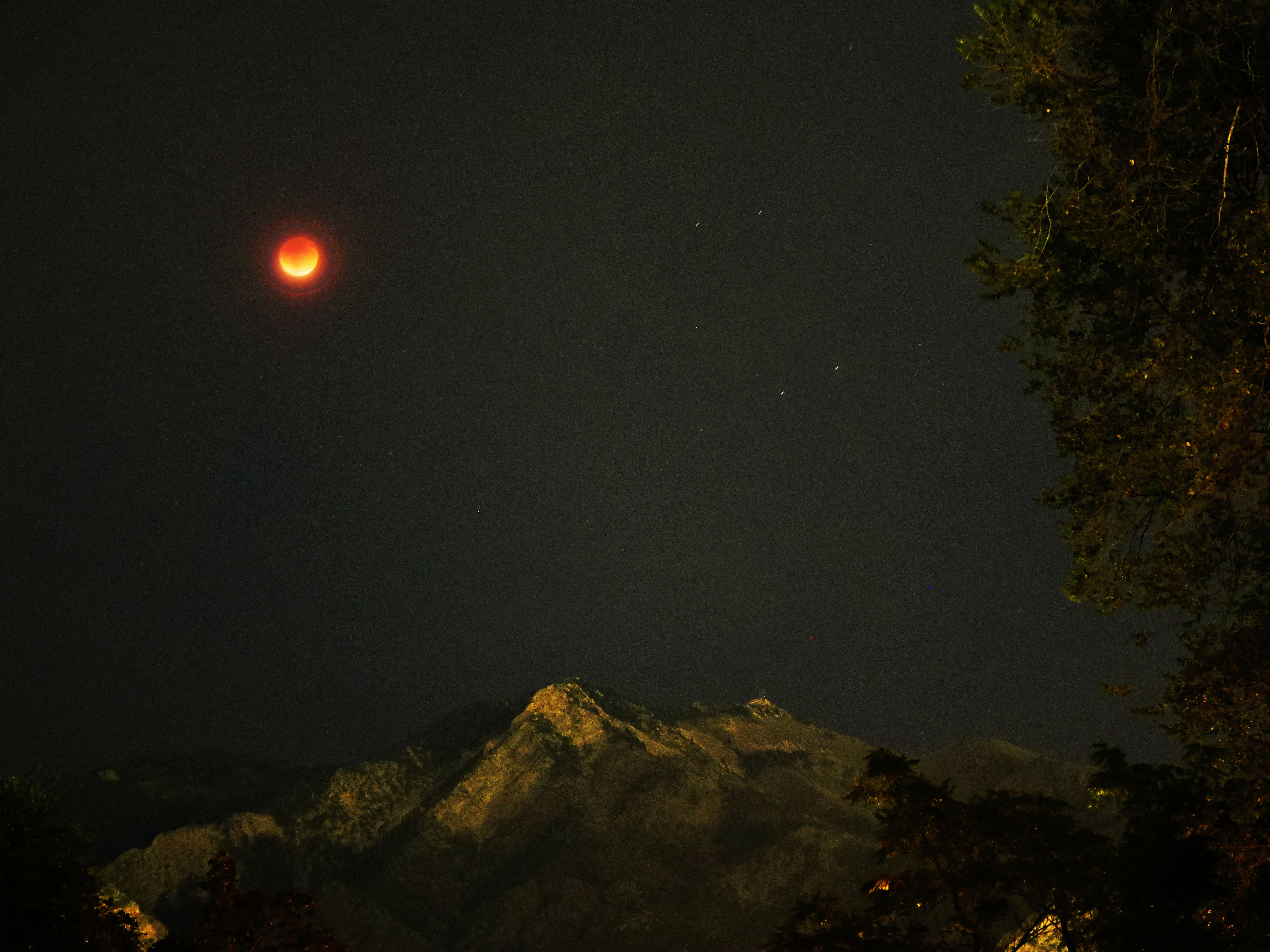 PHOTO OF THE DAY:  Super Blood Moon Over Ogden