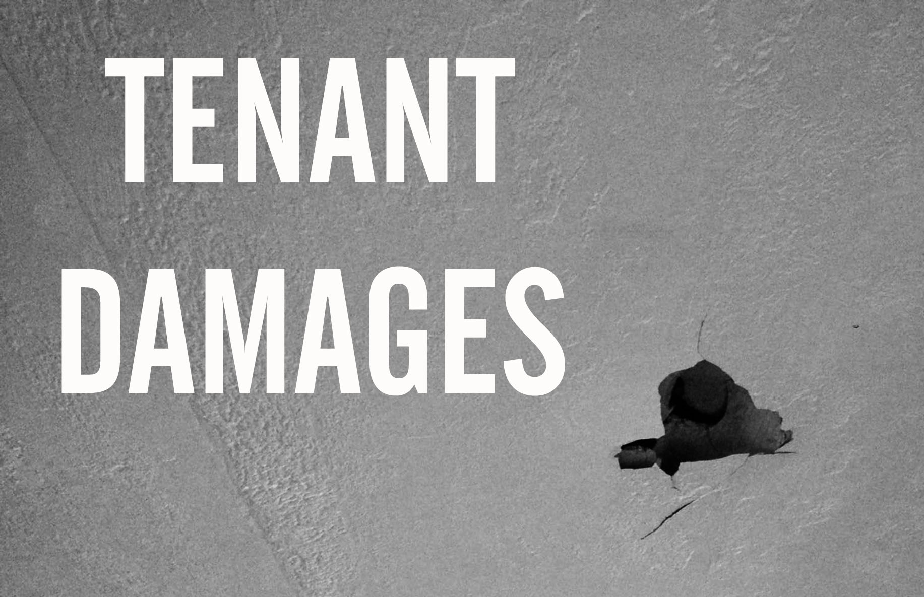 TENANT DAMAGES: Serving Justice to the Damage-Prone