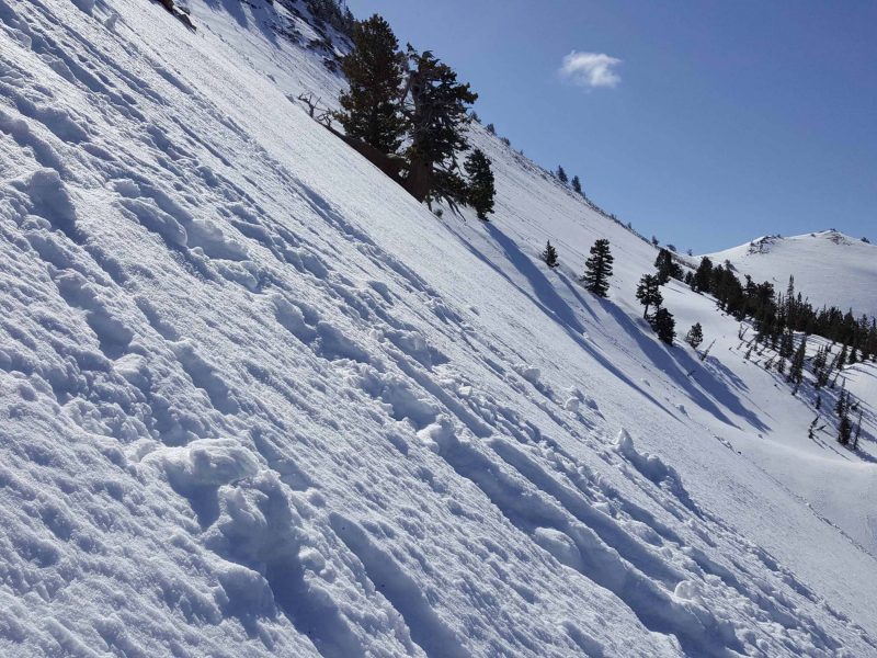 mount-ogden-snow-climb-016