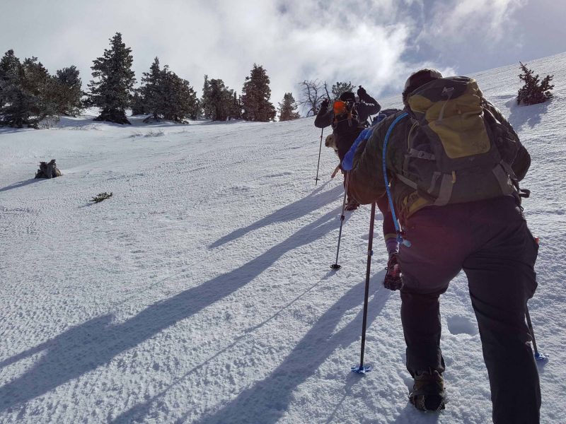 mount-ogden-snow-climb-017